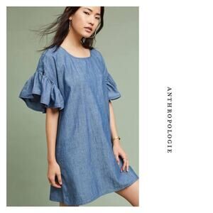 Maison Labiche Chambray Ruffle Sleeve Cotton Dress. Women's Size Small